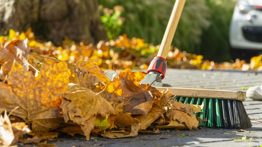 Leaf removal by IR Full Service LLC.