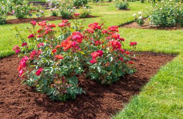 Brookfield mulch delivery and installation