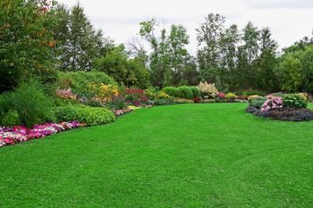 Weed Control & Lawn Fertilization in Warren, Connecticut by IR Full Service LLC