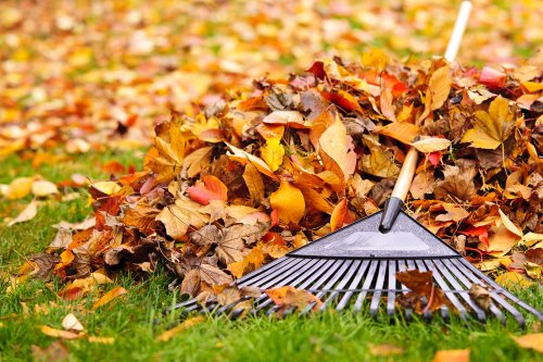 Fall Clean Up Services by IR Full Service LLC