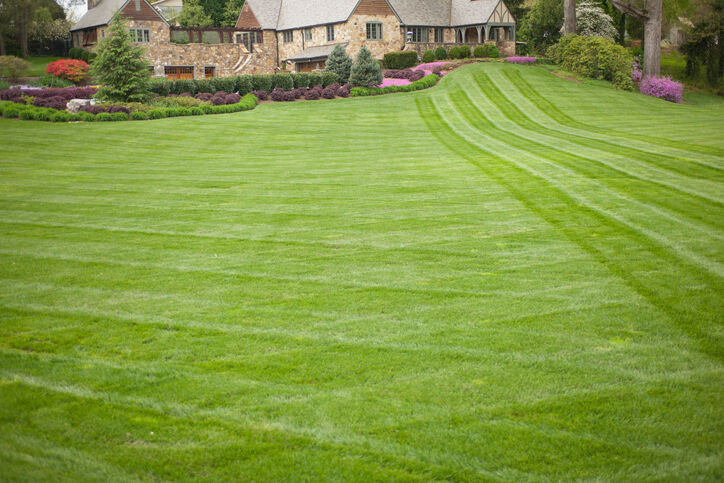 Lawn care by IR Full Service LLC.