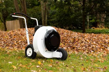 Leaf removal in Morris, CT by IR Full Service LLC.