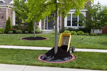 Mulching in Brookfield Services