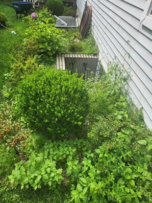 Before And After Lawn Care Services in Danbury, CT (1)