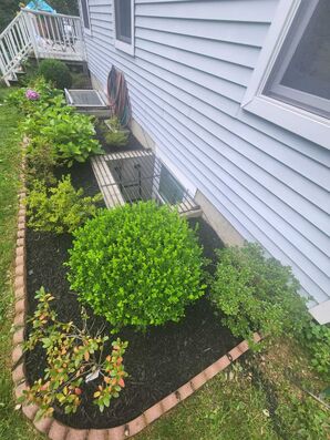 Before And After Lawn Care Services in Danbury, CT (2)